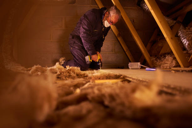 Best Specialized Insulation Services in Healdsburg, CA